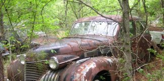 Que faire de sa vieille voiture hors d’usage ?